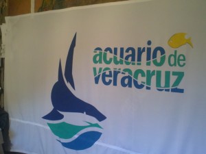 galeria067