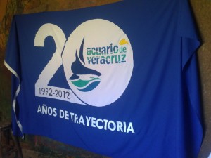 galeria099