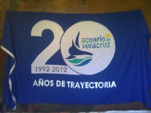 galeria100