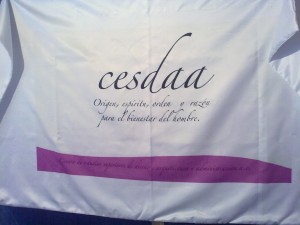 galeria124